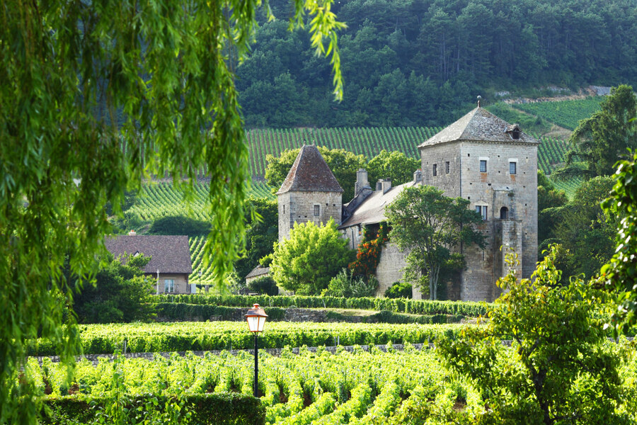 Viaje por los viñedos franceses