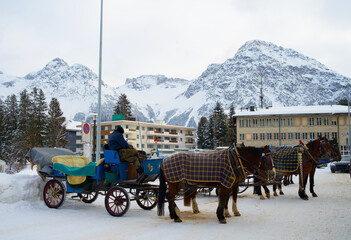 Swissgrand tours, Viajes cómodos por Suiza